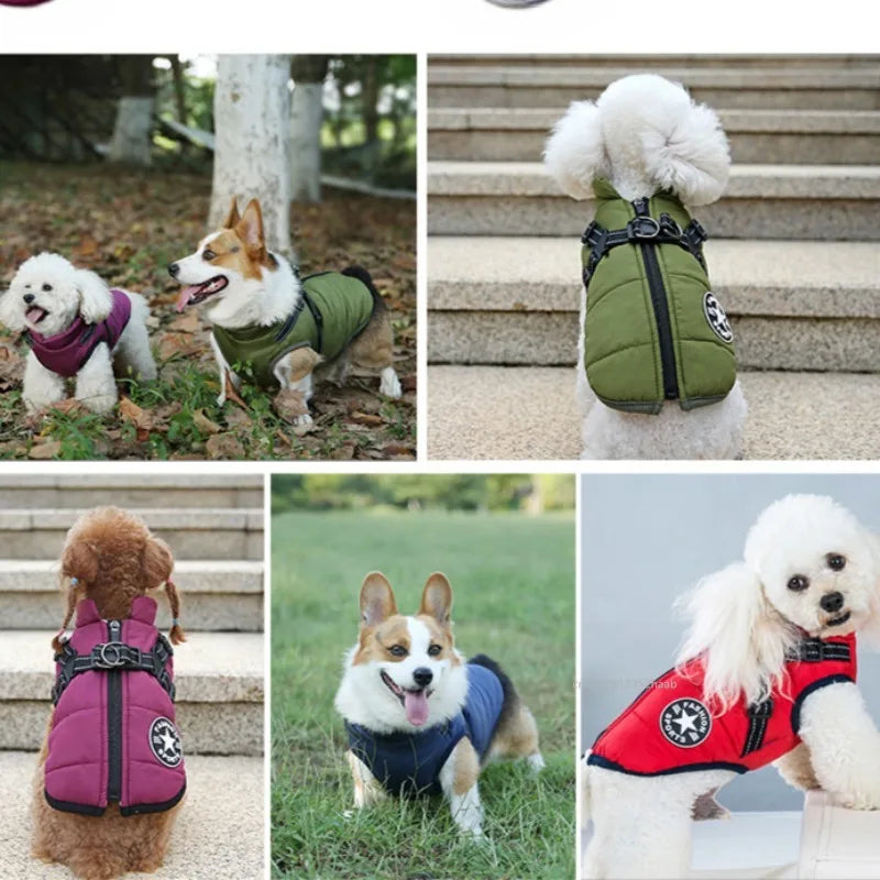 Winter Warm Pet Dog Jacket with Harness Waterproof Dog Coat Vest for Small Medium Chihuahua French Bulldog Outdoor Dog Clothes Ai-TechWorld 