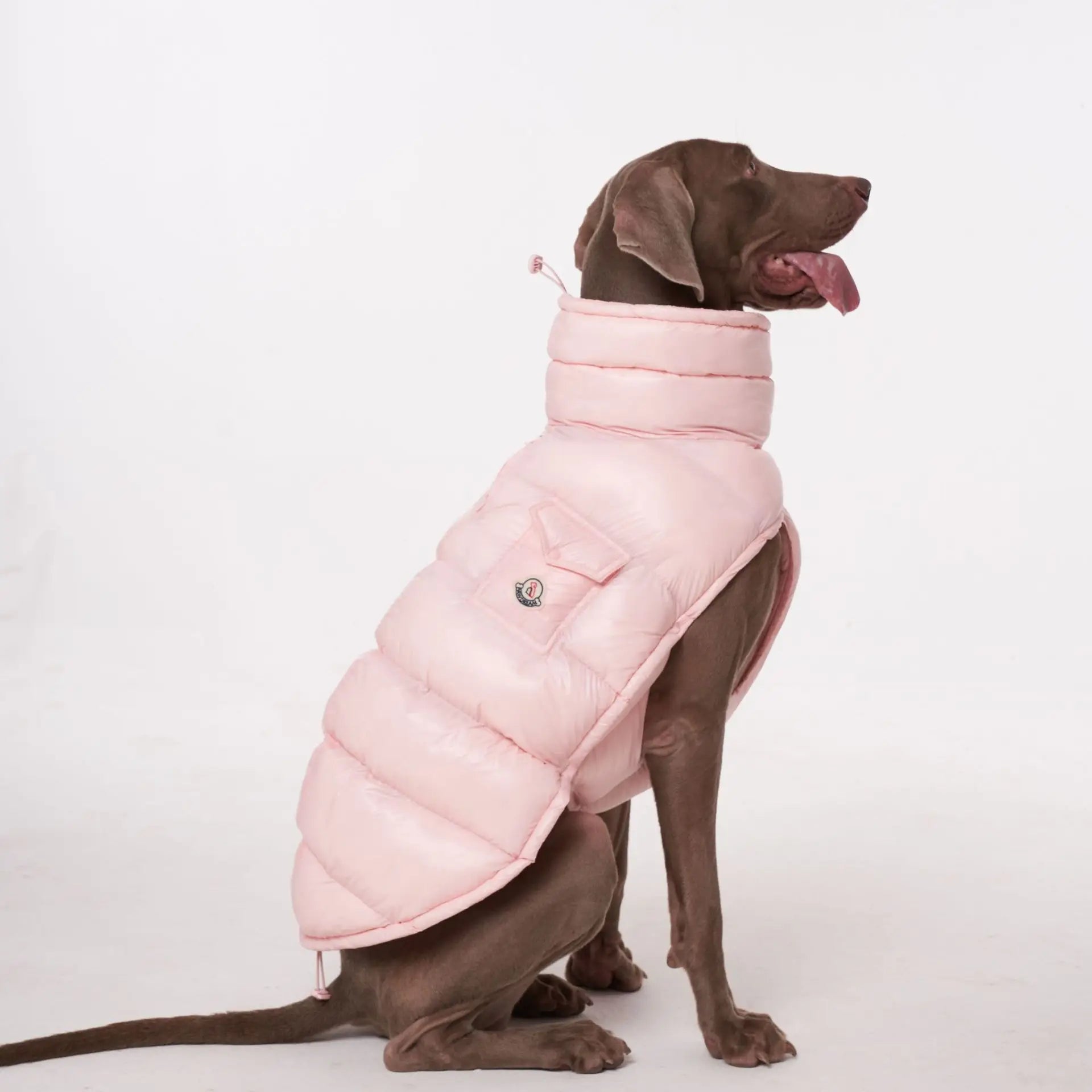 S-2XL Large Dog Winter Thick Down Coat High Collar Warm Windproof Adjustable Pet Clothes 2 Legged Padded Dog Jacket Vest Ai-TechWorld 
