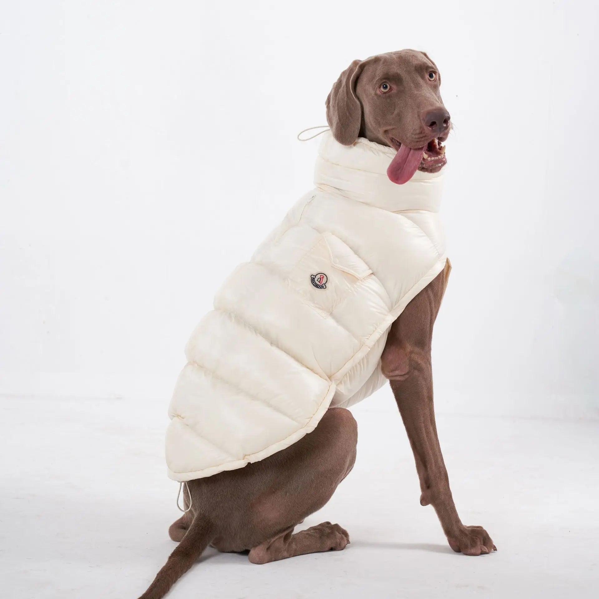 S-2XL Large Dog Winter Thick Down Coat High Collar Warm Windproof Adjustable Pet Clothes 2 Legged Padded Dog Jacket Vest Ai-TechWorld 