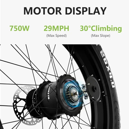 Electric Bike SR6 750W motor 48V16AH Battery Adult Electric Bicycle Hydraulic Brake 26 Inch Fat Tire mountainoff-road E-bike Ai-TechWorld 