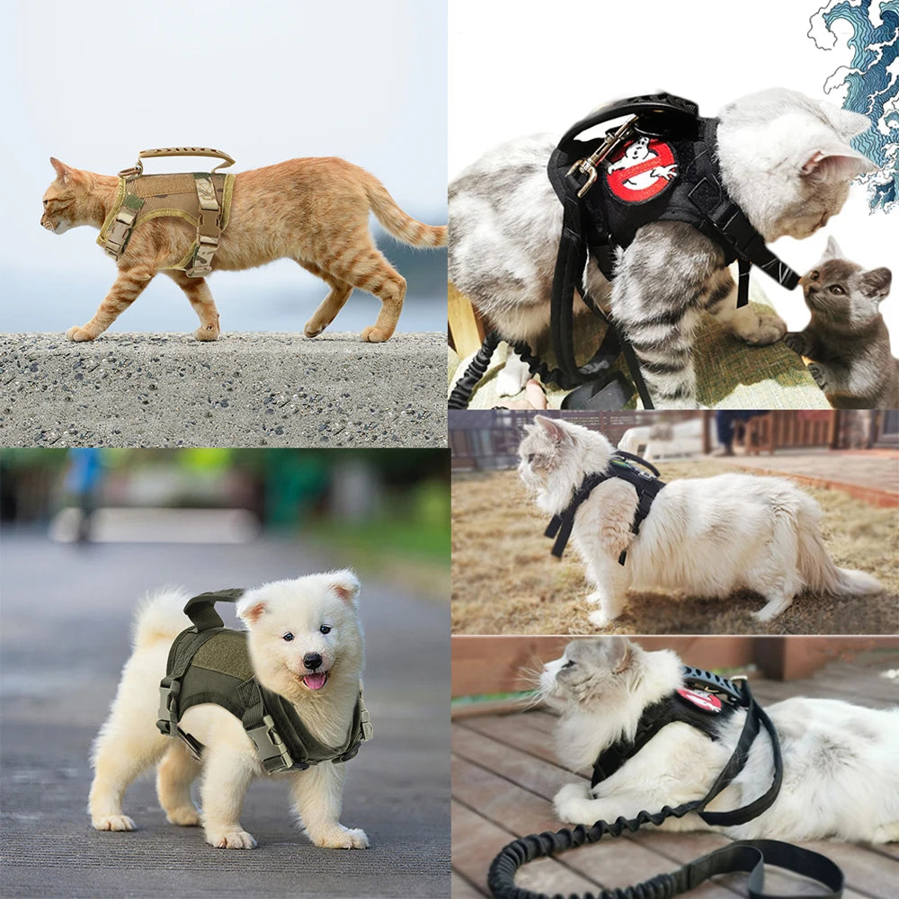 Tactical Puppy Harness Leash For Small Dogs Cats Adjustable Kitten Vest For Military Service Dog Working Training Walking Ai-TechWorld 