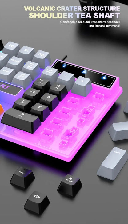 Single keyboard and keyboard mouse RAIKU T26 Three tone Luminous Keyboard Mouse Wired Mechanical Touch Gaming Mouse Keyboard Set Ai-TechWorld 
