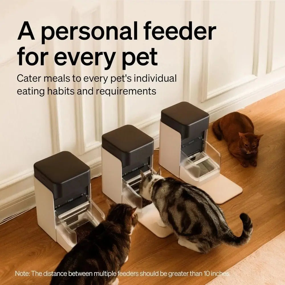 Smart Automatic Cat Feeder with Light Collar Tag – 5G App Control, RFID Sensor - Ai - TechWorld