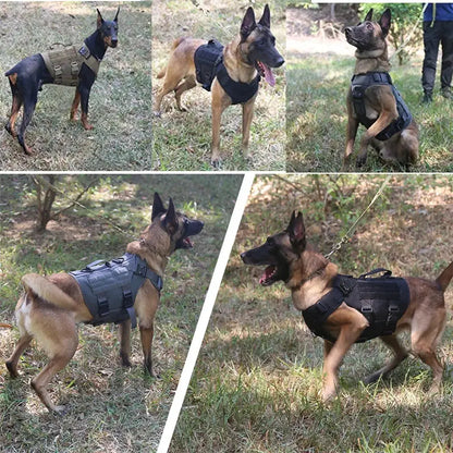 Tactical Military Vest Pet German Shepherd Golden Retriever Tactical  Training Dog Harness and Leash Set For All Breeds Dogs Ai-TechWorld 