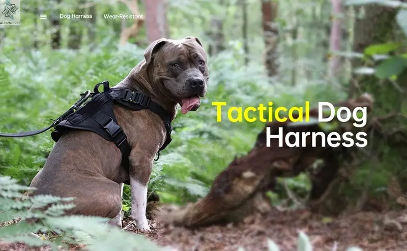 Tactical Military Vest Pet German Shepherd Golden Retriever Tactical  Training Dog Harness and Leash Set For All Breeds Dogs Ai-TechWorld 