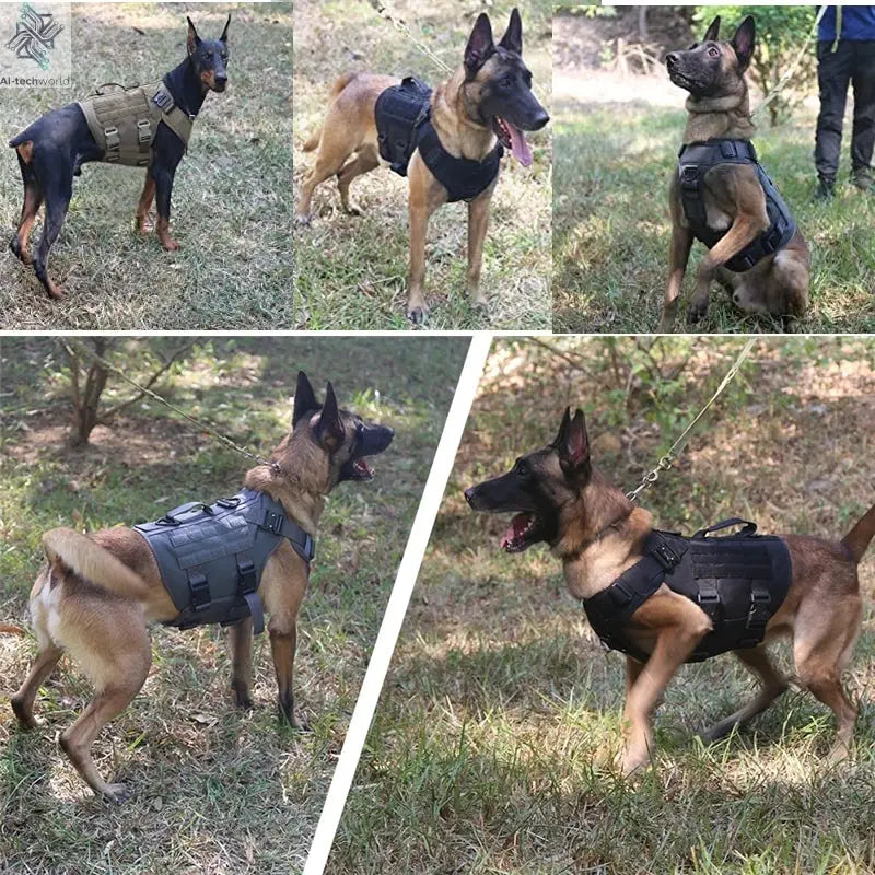 Tactical Military Vest Pet German Shepherd Golden Retriever Tactical  Training Dog Harness and Leash Set For All Breeds Dogs Ai-TechWorld 