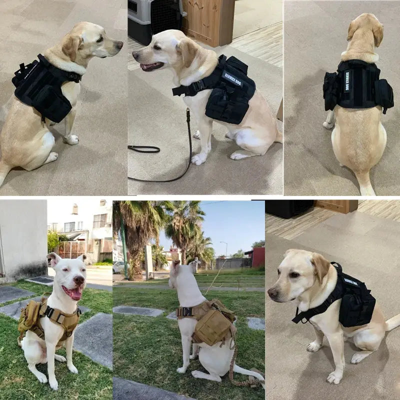 Tactical Military Vest Pet German Shepherd Golden Retriever Tactical  Training Dog Harness and Leash Set For All Breeds Dogs Ai-TechWorld 