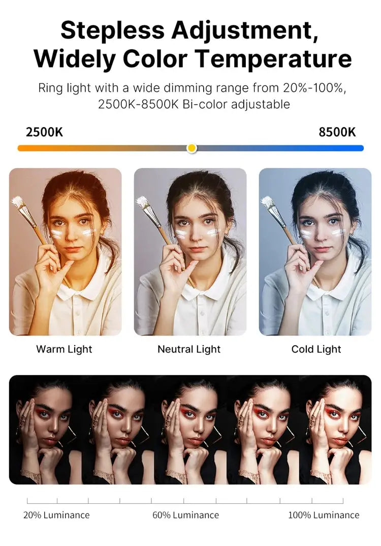 Ulanzi U200 U-200 Smartphone Video Rig  LED Video Light 2 in 1 Ring Light Cold Shoe for Microphone Tiktok Youtube Live Rig Light Ai-TechWorld 