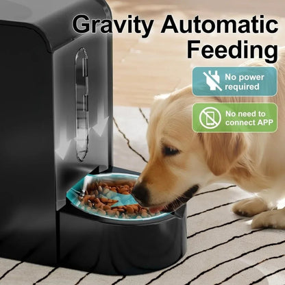 Automatic Pet Feeder and Stainless Steel Water Dispenser - Ai - TechWorld