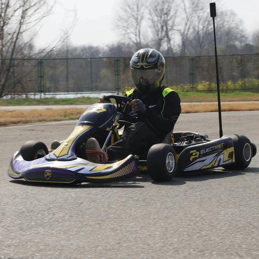 Electripet 72v 48AH 12000W electric go karts Ai-TechWorld