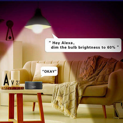 Smart WiFi Bulb – E27 9W Voice - Control Color Changing Light - Ai - TechWorld