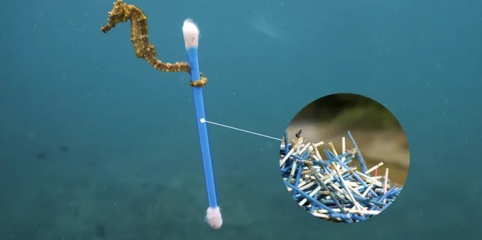 2025 New Bebird Earsight Plus I35R Ear Wax Removal Tool Camera Cleaner Kit- HD Wireless Flexible Otoscope, Pain-Free Ear Tweezer Ai-TechWorld 